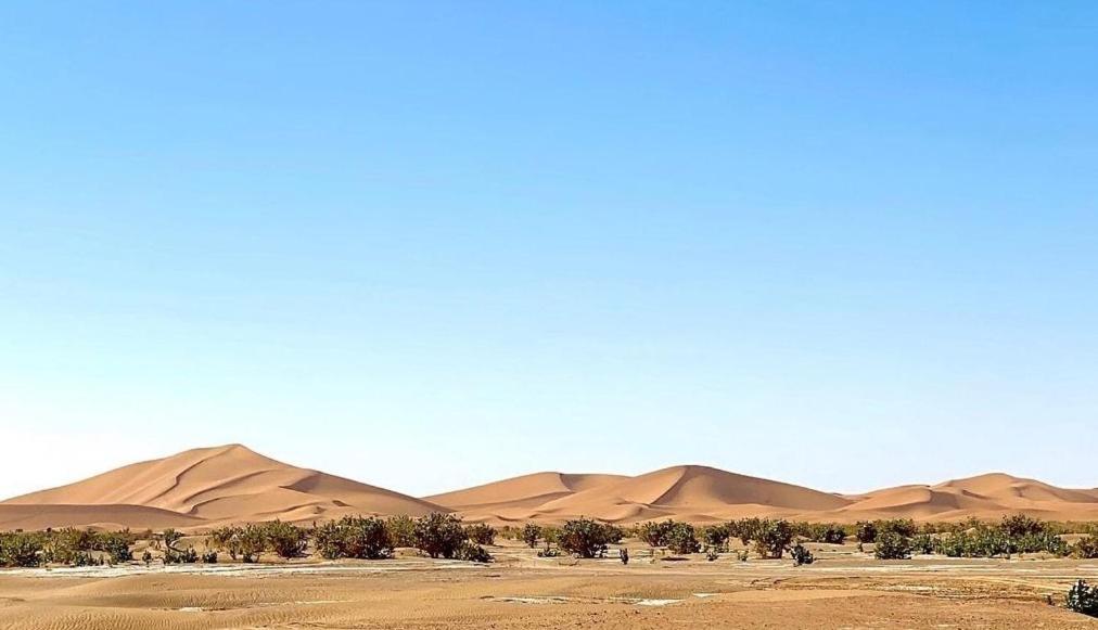Chegaga Desert Trips Camp M'Hamid El Ghizlane Extérieur photo